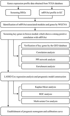 Prognostic Prediction Using a Stemness Index-Related Signature in a Cohort of Gastric Cancer